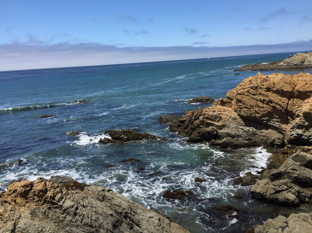 Harmony Headlands State Park景点图片