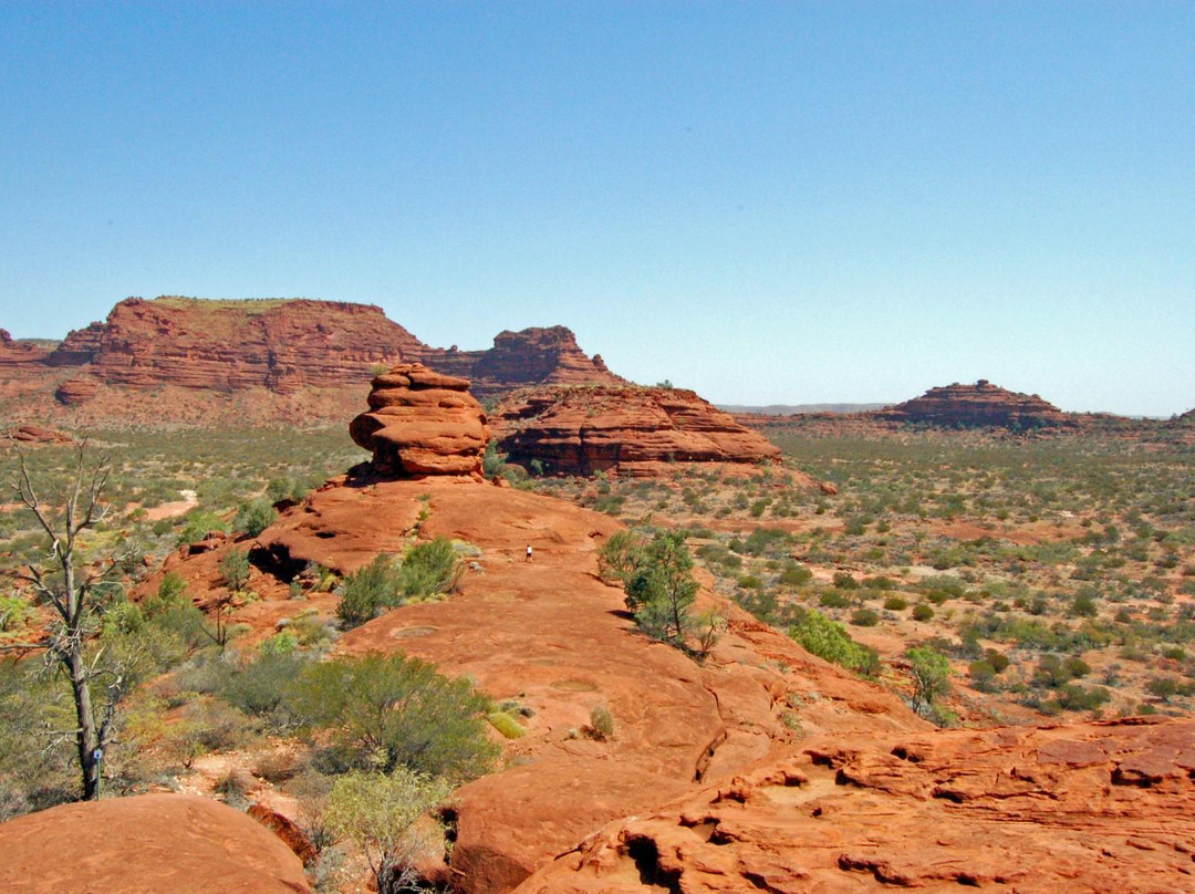 Finke Gorge National Park-爱丽斯泉必去景点