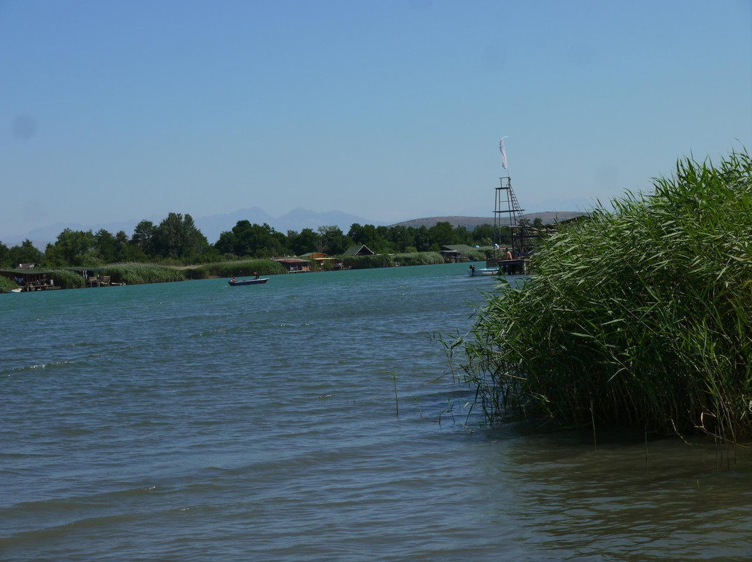 Bojana River景点图片