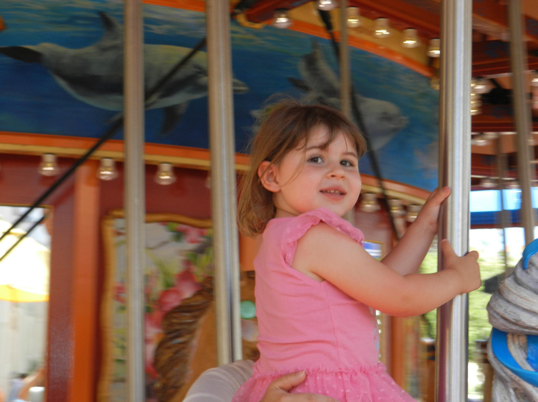 The Downtown Carousel-棕榈滩花园必去景点