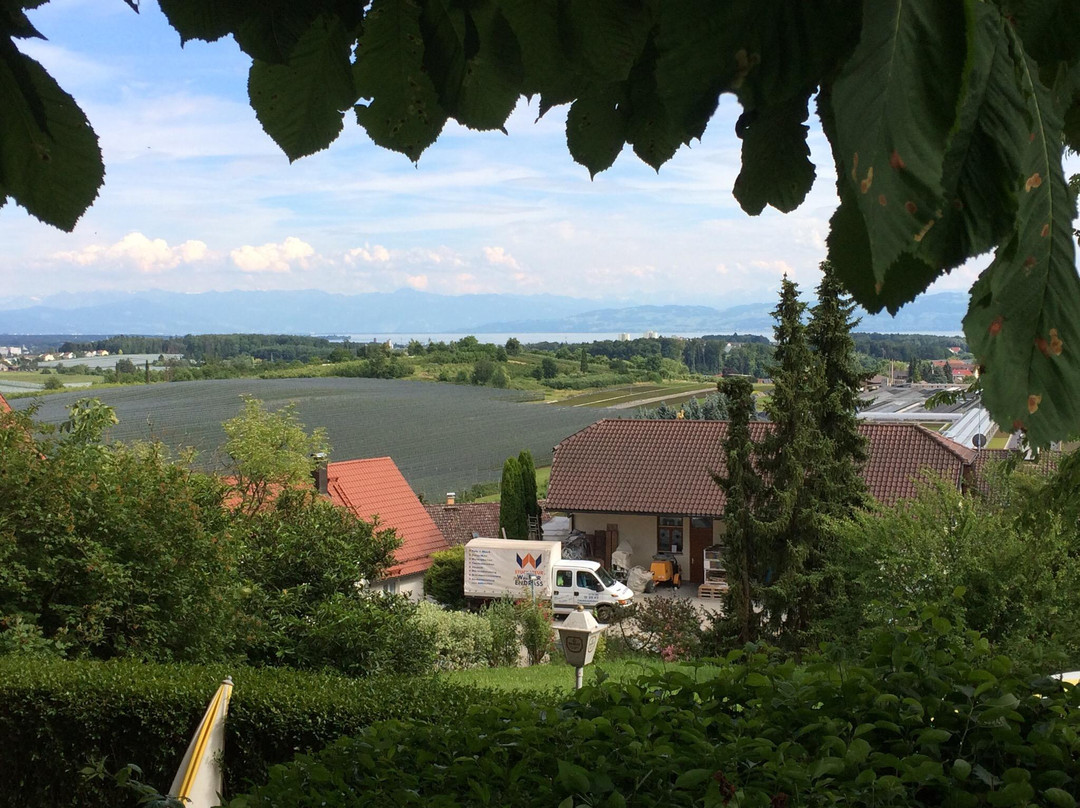 Gasthof Krone Hotel & Restaurant主图