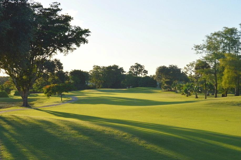 Village Golf Club景点图片