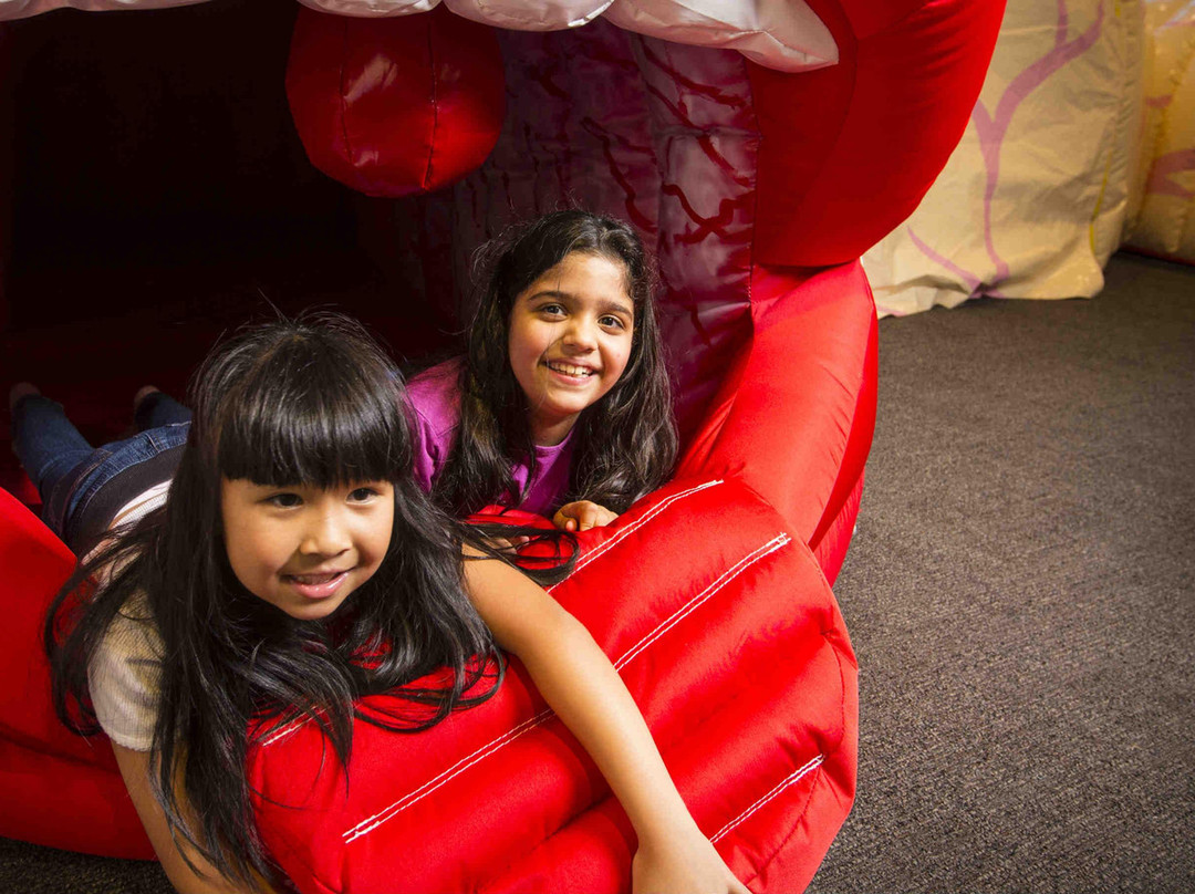 Early Start Discovery Space-卧龙岗市必去景点