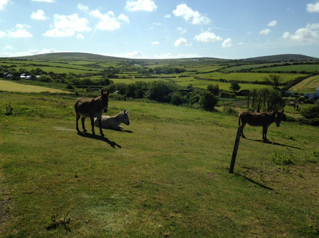 Kelynack Caravan & Camping Park