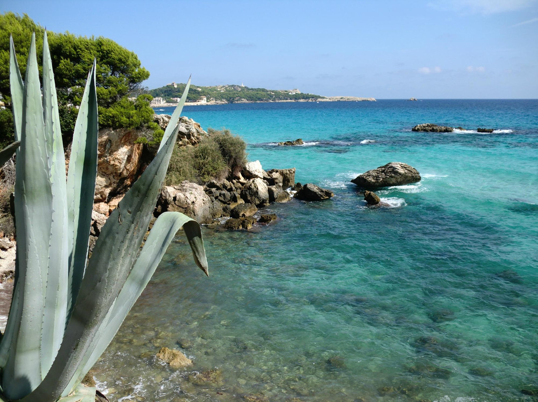 Platja de Son Moll