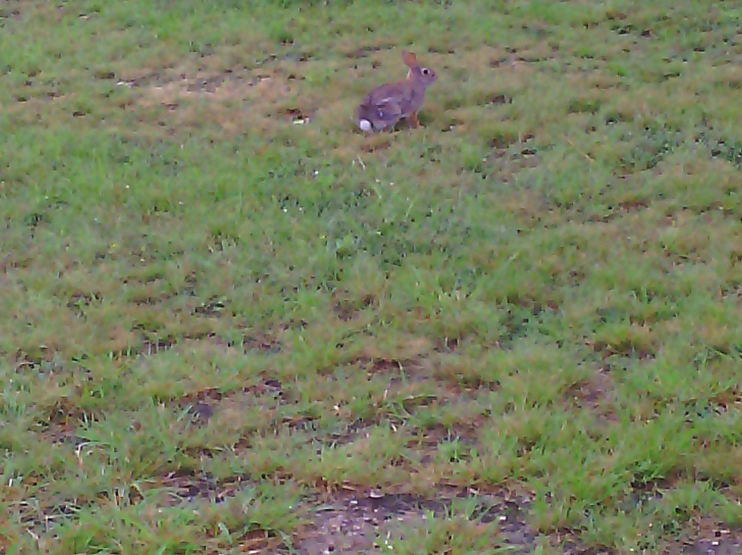 Lake Corpus Christi State Park-Mathis必去景点