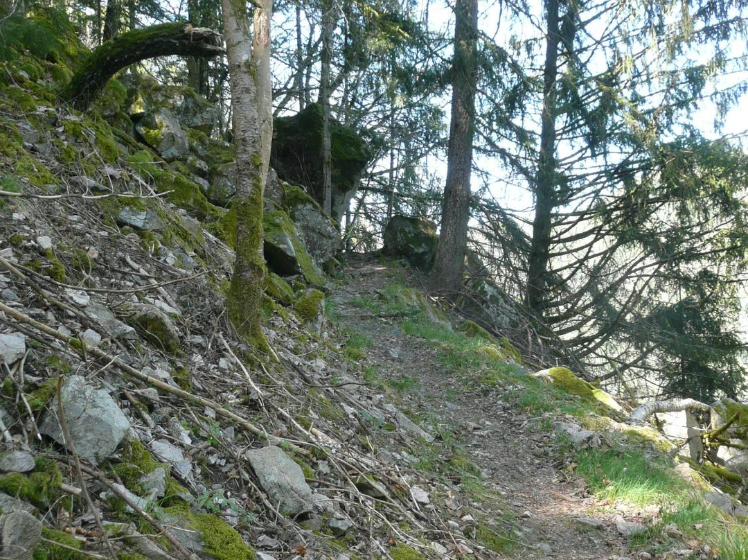 Felsenweg Höchenschwand景点图片