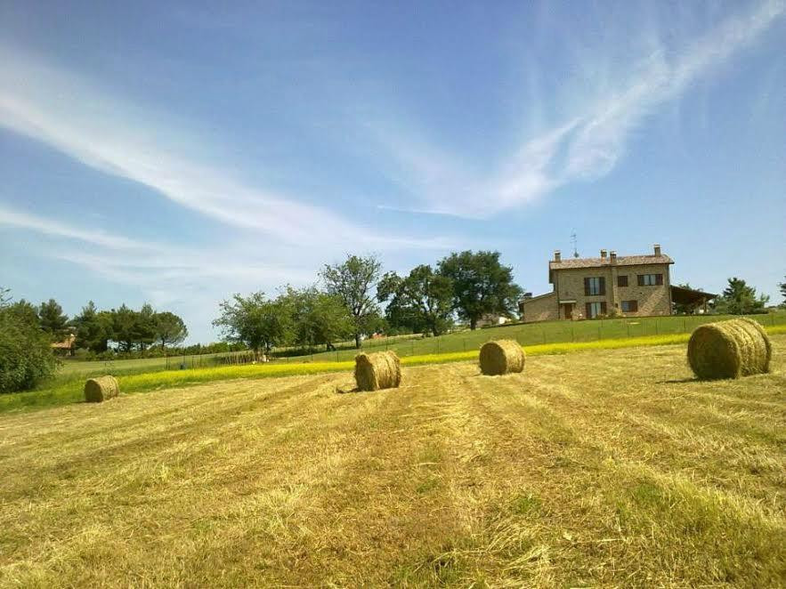 Agriturismo Bio Verde Armonia