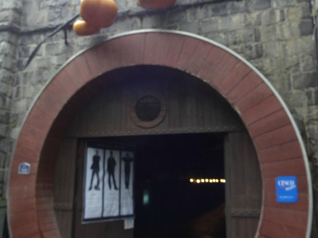 Cheongdo Wine Tunnel-清道郡必去景点