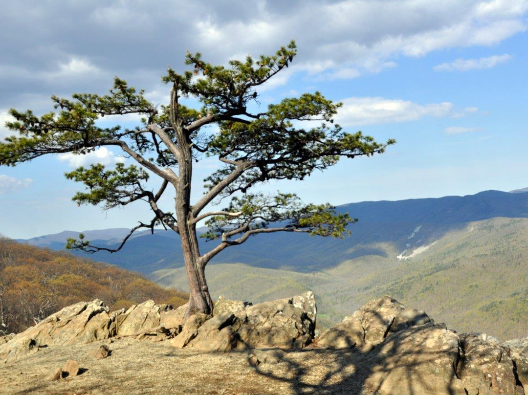 Raven's Roost Overlook-Lyndhurst必去景点