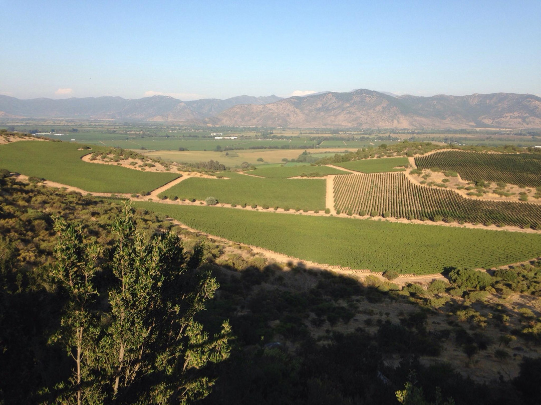 Natural Wine Tours-Palmilla必去景点