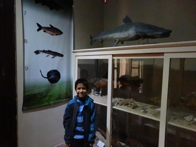 Museo Provincial de Ciencias Naturales y Antropologicas景点图片