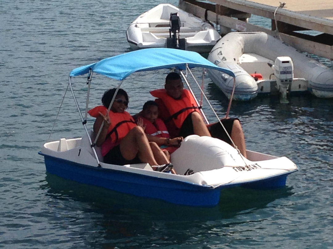 Caribe Rentals-庞塞必去景点