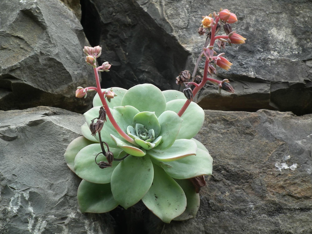 Santa Maria Travel- Day Tours-Chachapoyas必去景点