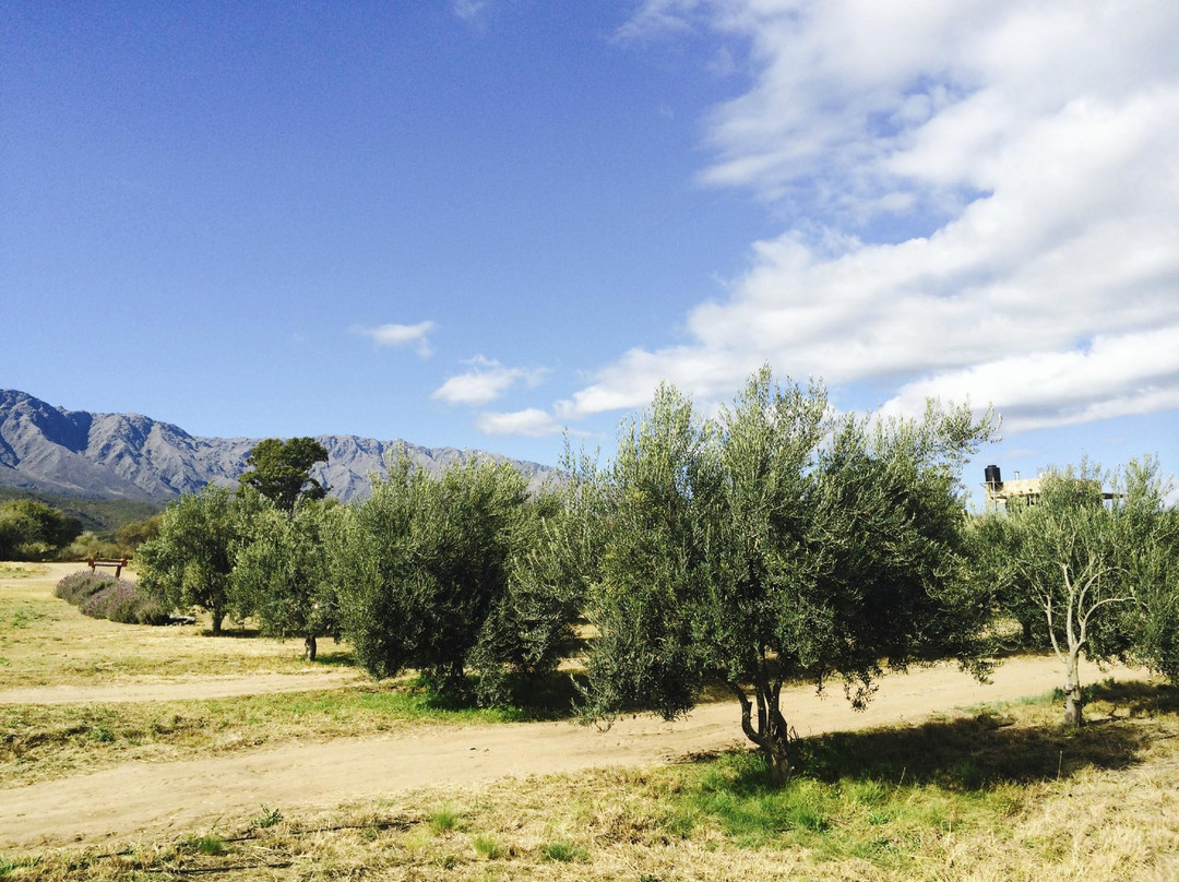 Sierra Pura-Luyaba必去景点