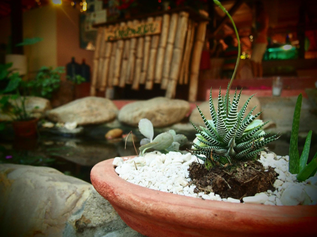 Casa Corzo-埃斯孔迪多港必去景点