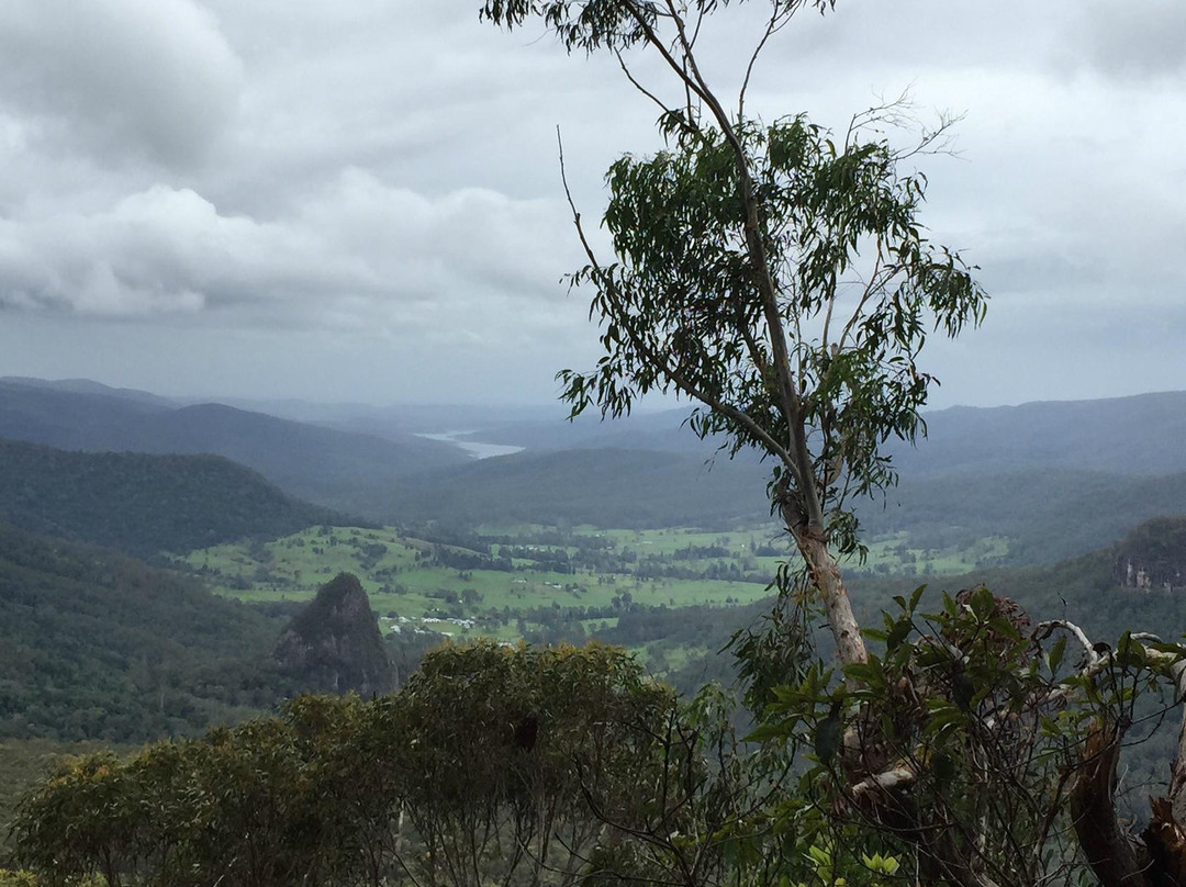 Bellbird Lookout & Circuit景点图片