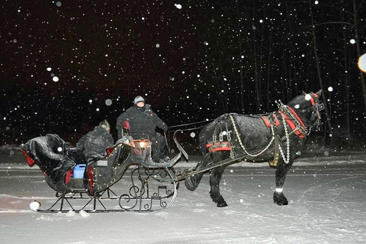 Horse Drawn Carriage Co., LLC景点图片