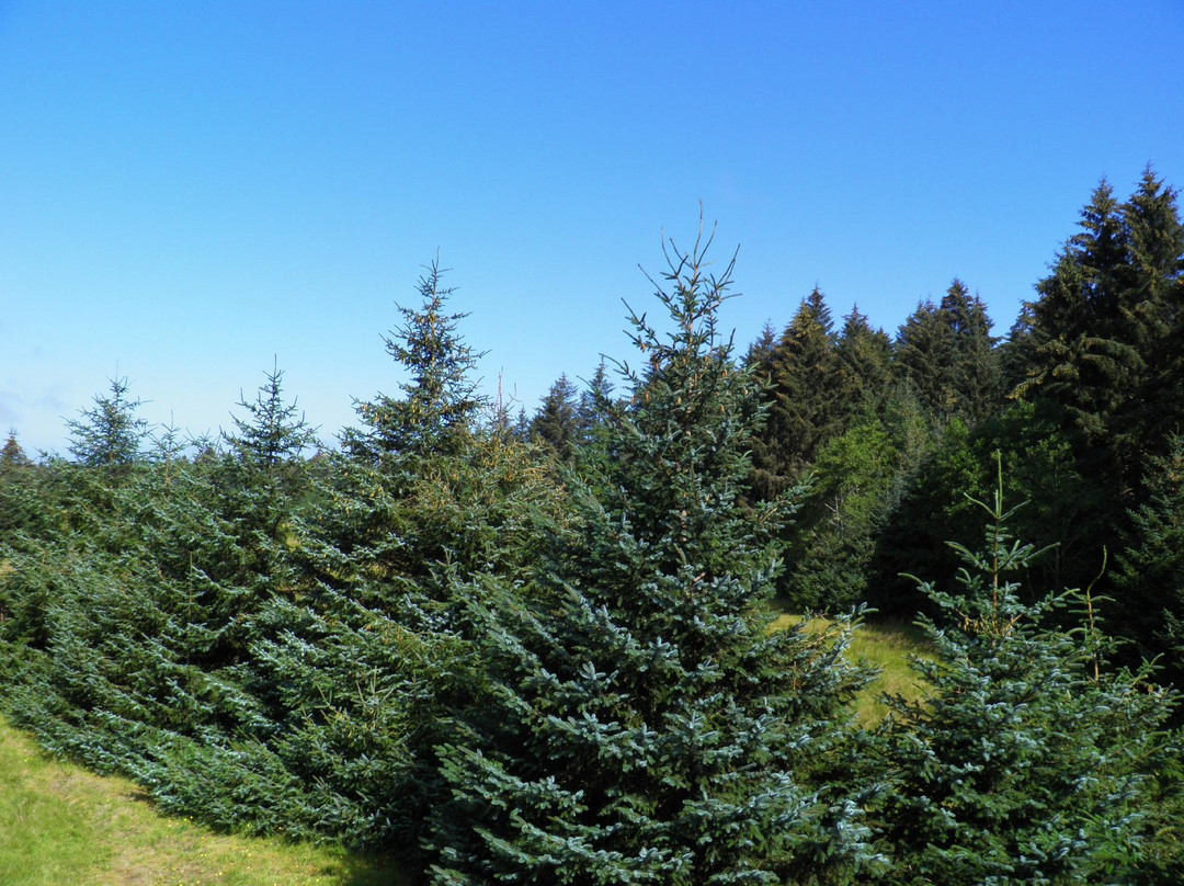 Delkatla Wildlife Sanctuary-Masset必去景点