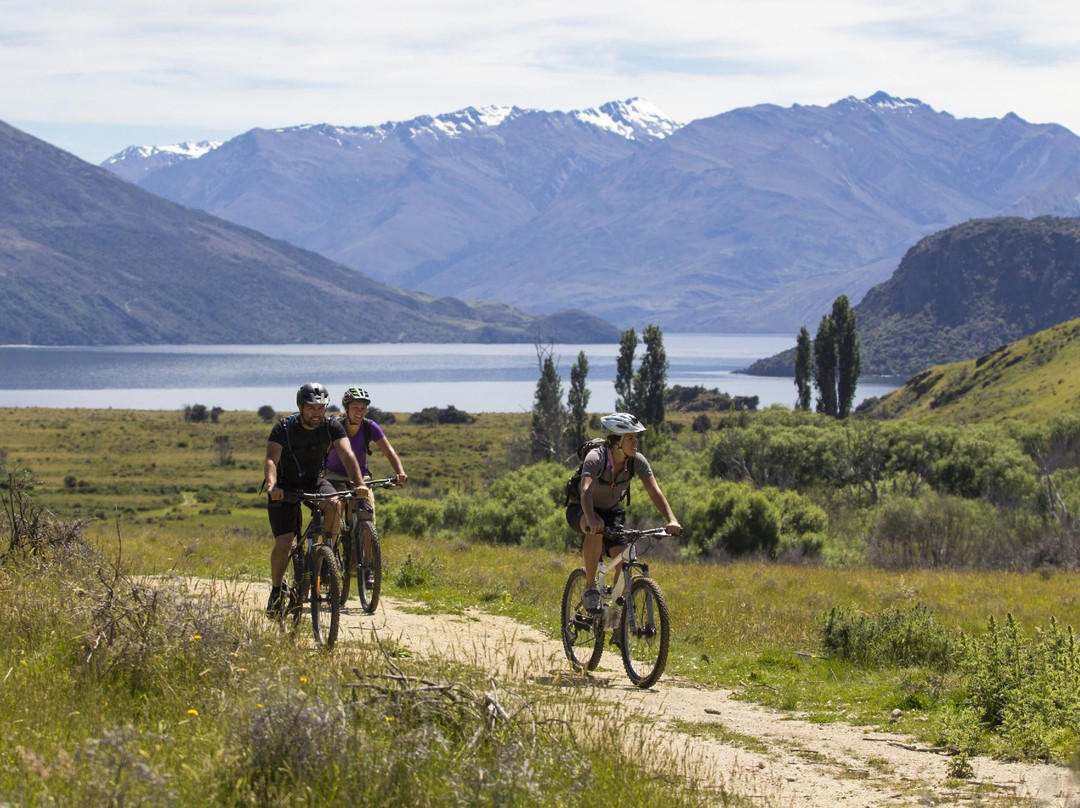 Wanaka Bike Tours-瓦纳卡必去景点