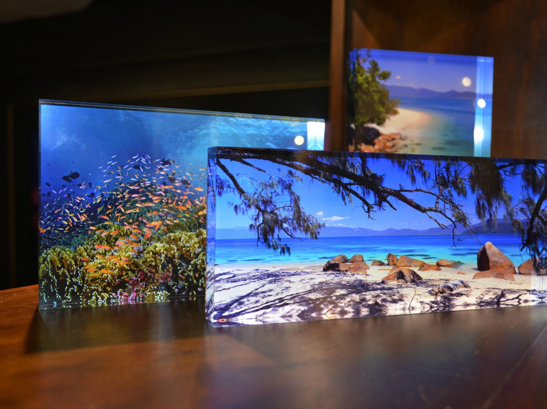 Michael Seebeck Gallery