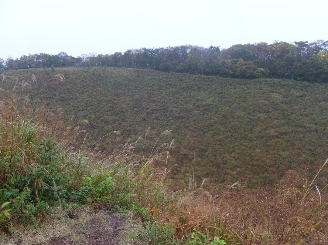 Mt. Kannabe-丰冈市必去景点