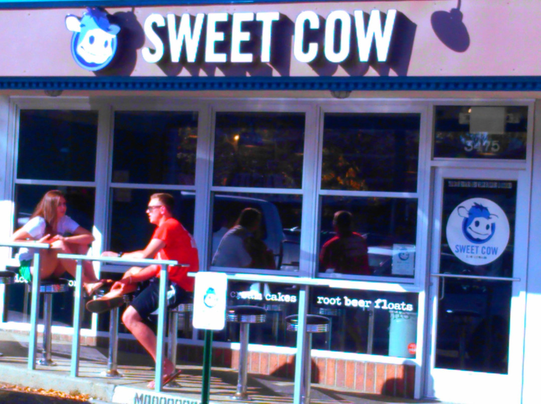 Sweet Cow