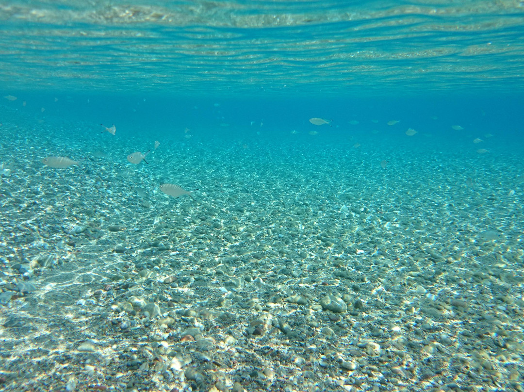 Kamari Beach-Kós必去景点