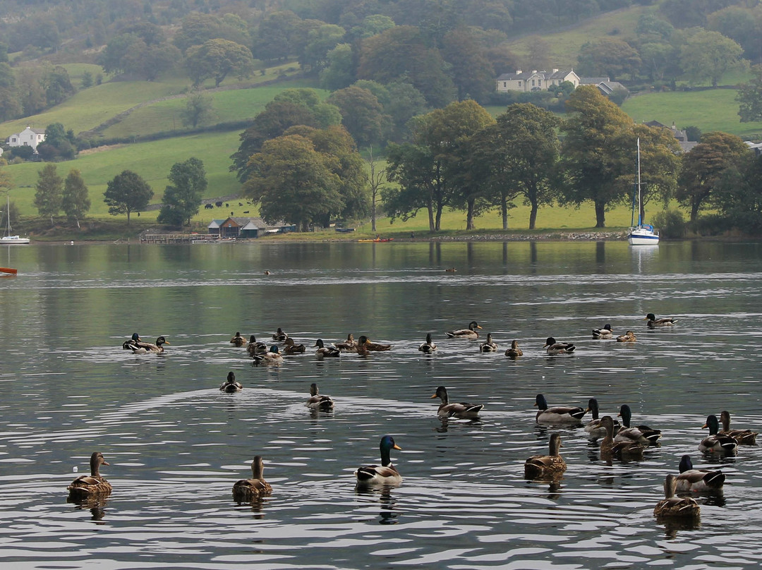 Coniston Boating Centre-Coniston必去景点