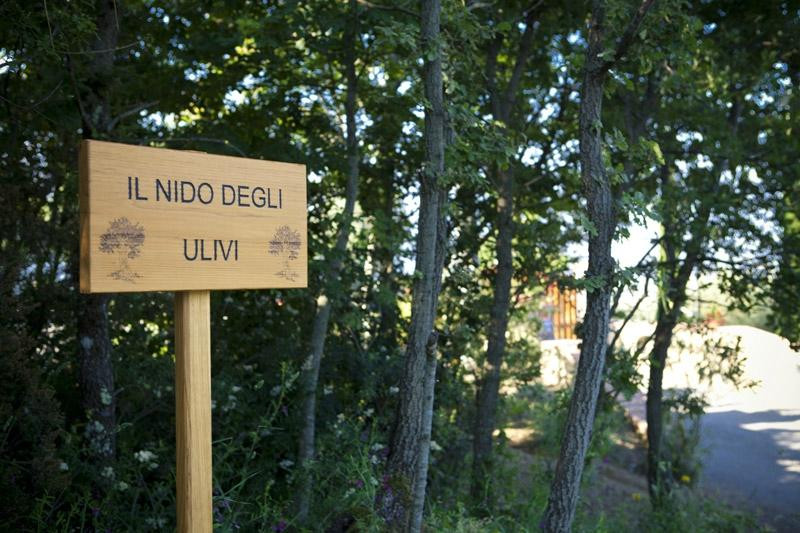 Il Nido Degli Ulivi主图