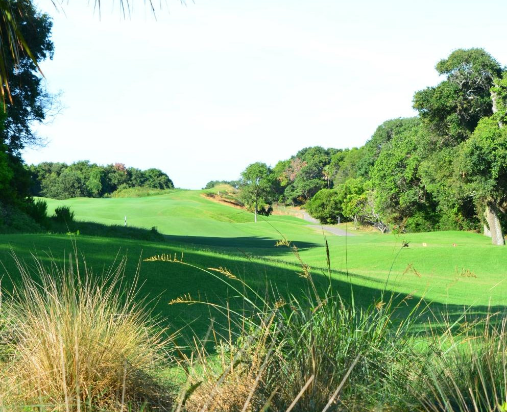 Wild Dunes Resort Golf-棕榈岛必去景点