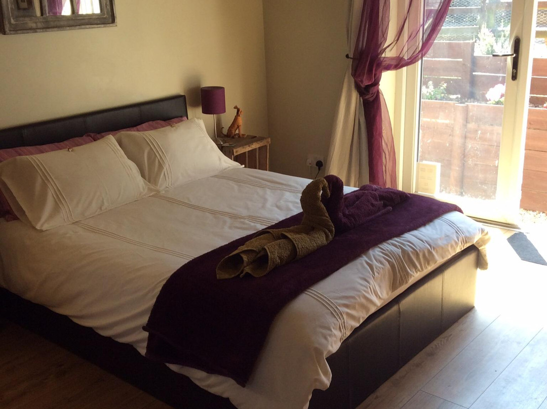 Smallridge酒店住宿-Devon's Duck n Dane B&B