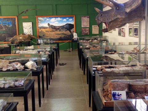 Paleontologia de Monte Alto Museum-Monte Alto必去景点