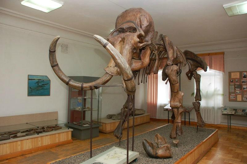 Penza State Museum of Local Lore-奔萨必去景点