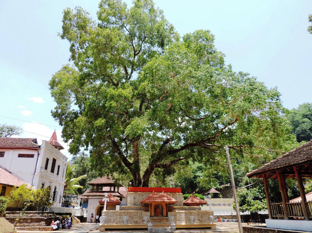 Natha Devale-康提必去景点