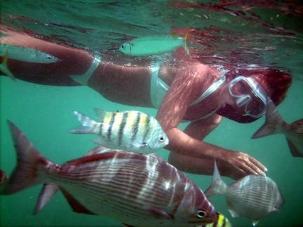 Seagrape Tours-菲利普斯堡必去景点