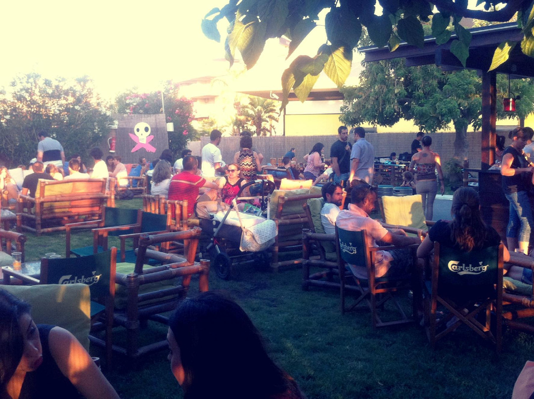 Pez Globo Beach Bar景点图片