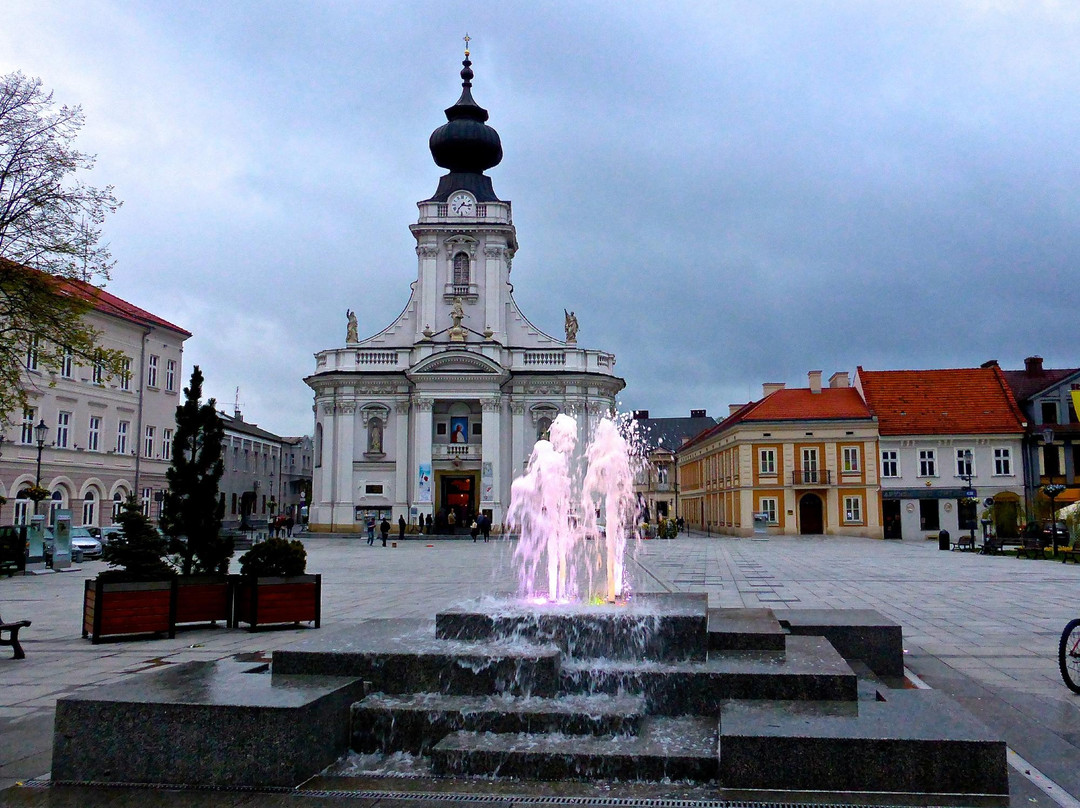 Wadowice旅游攻略图片