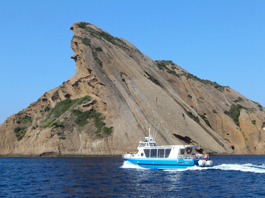 Les Amis Des Calanques