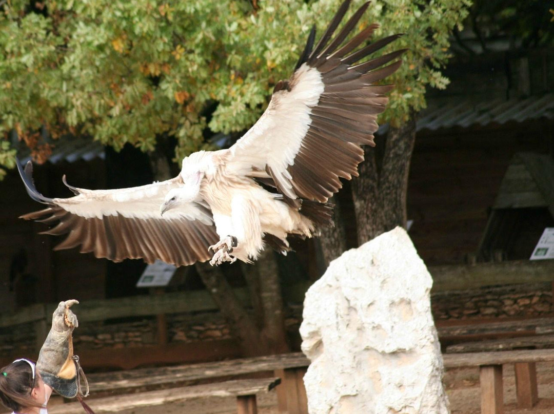 Rocher des Aigles