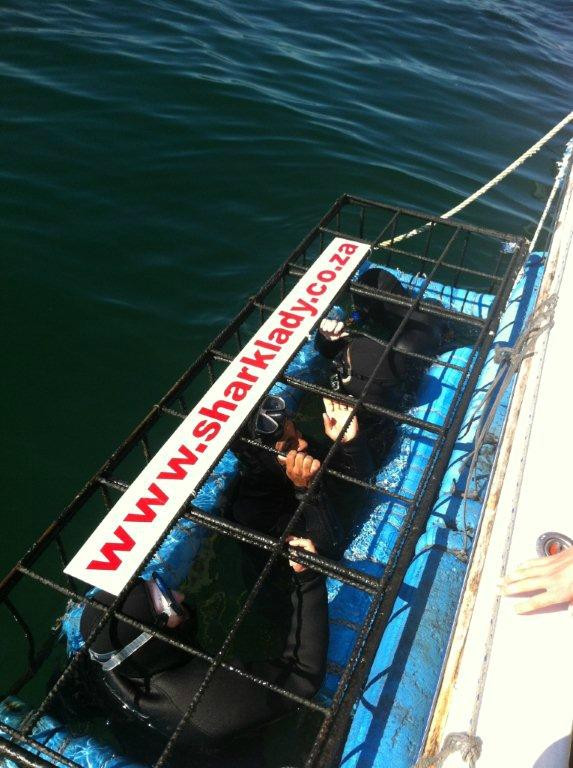 Sharklady Adventures-干斯拜必去景点