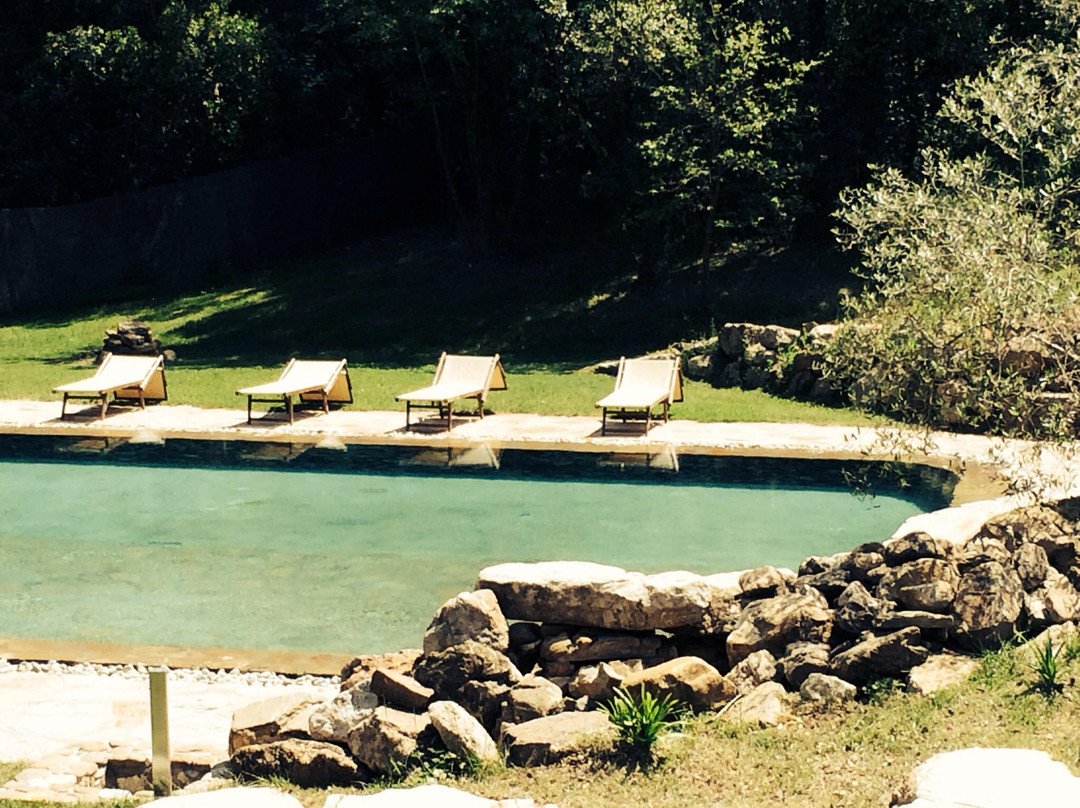Terme di Sassetta景点图片