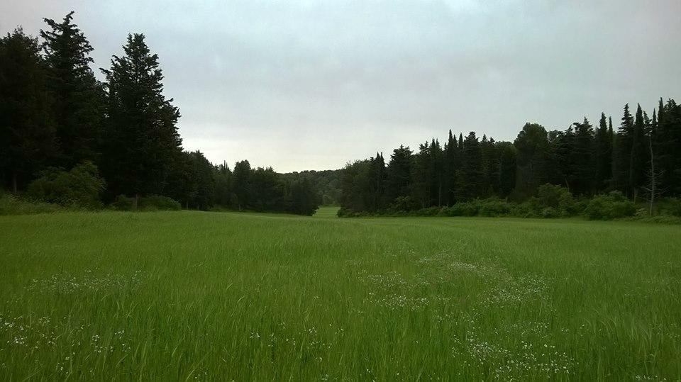 Parc national de l'Alta Murgia-Gravina in Puglia必去景点