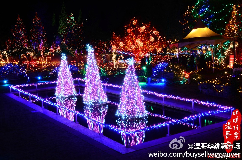 梧桐街-芝加哥必去景点