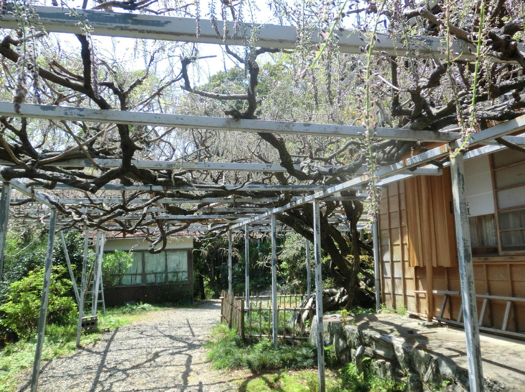 Taikoji Temple-伊势市必去景点
