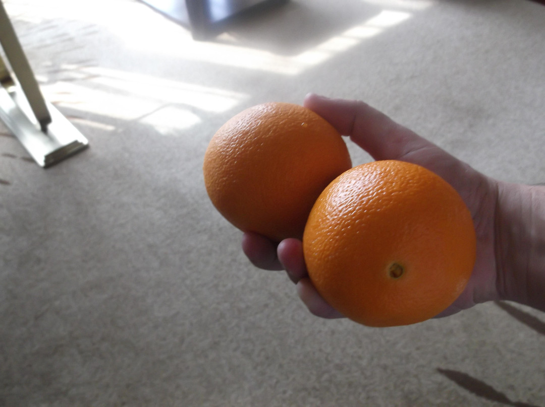 小南国花园酒店主图