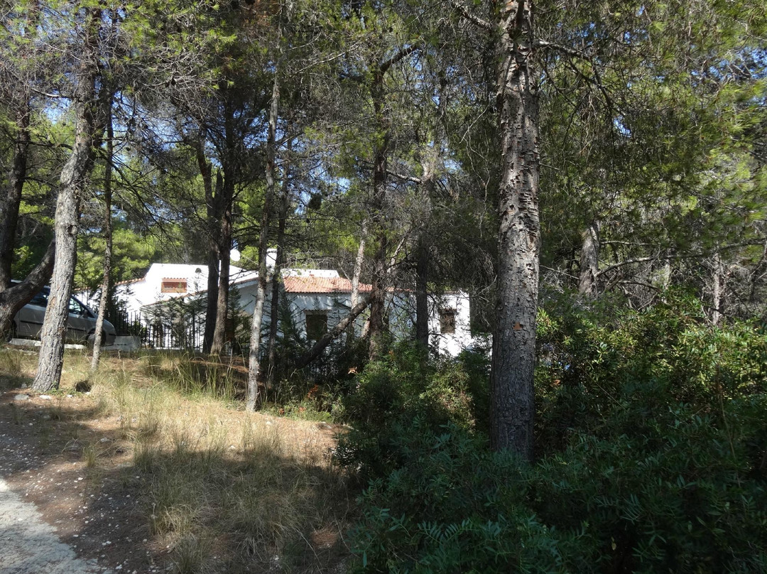 Appartamenti Villa Elefante