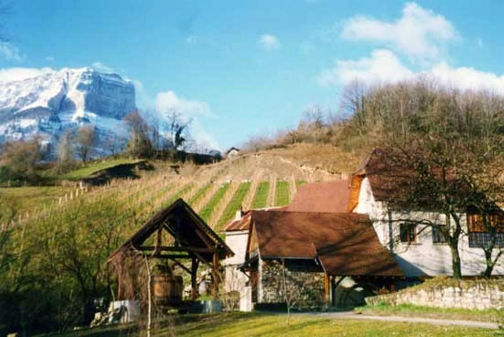 Moulin à Papier de la Tourne景点图片