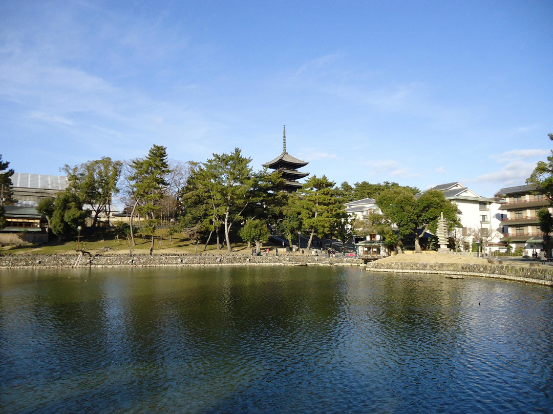 Sarusawa Pond-奈良市必去景点