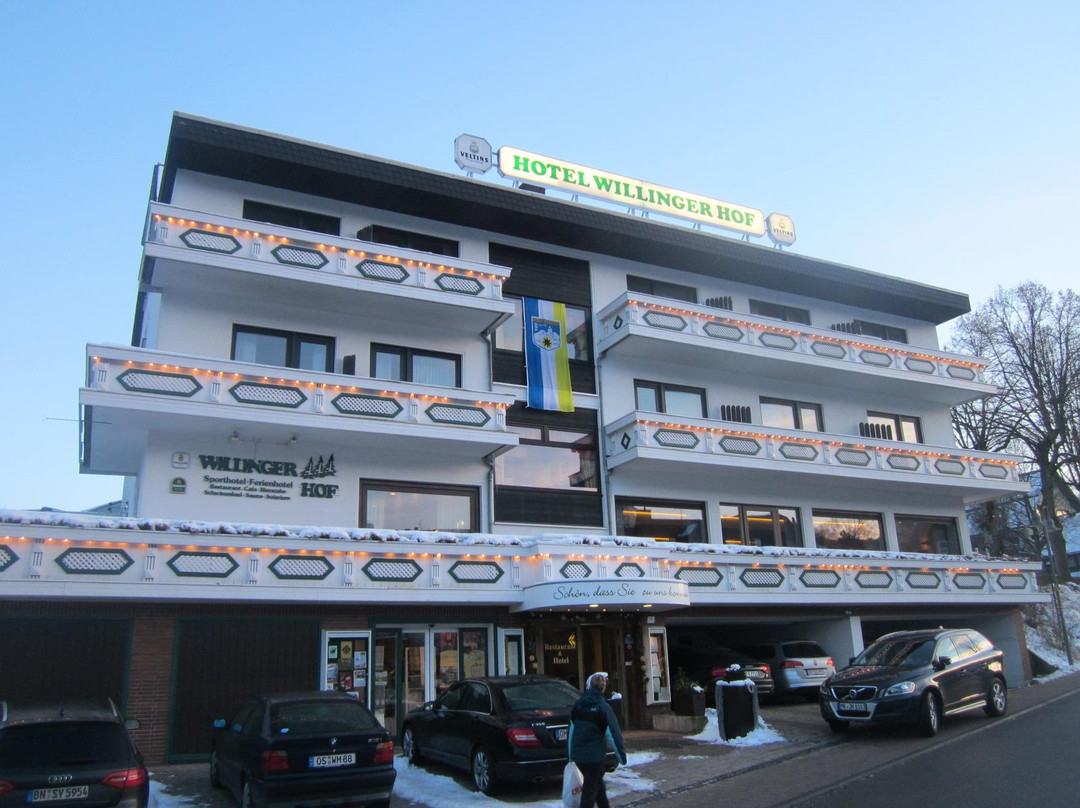 Hotel Willinger Hof主图